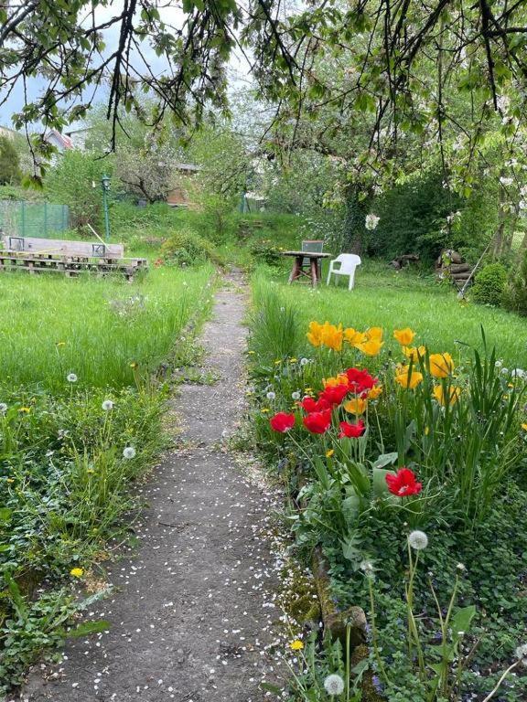 Gaestehaus Linden Homestay